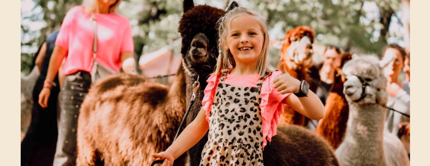 Alpaca's