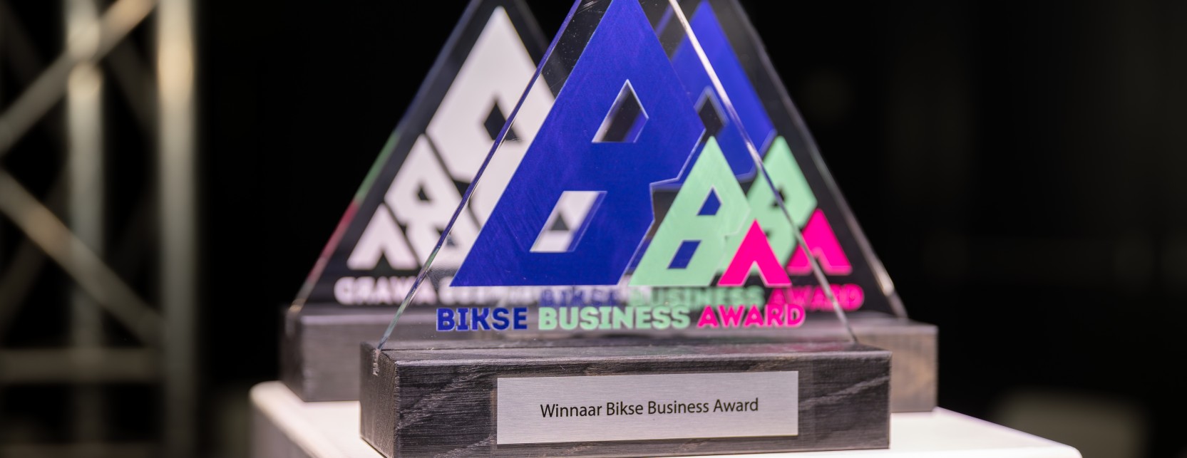 Bikse Business Award 2026