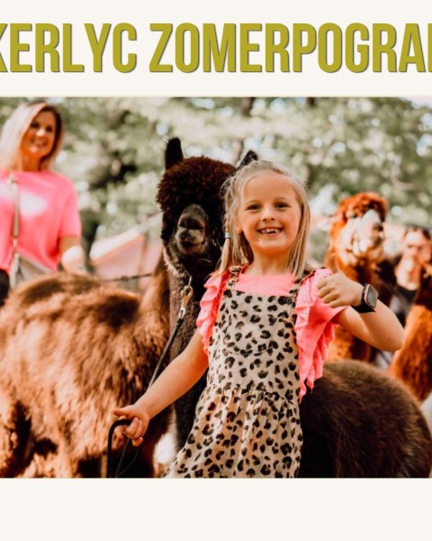 Alpaca's op bezoek in Elckerlyc
