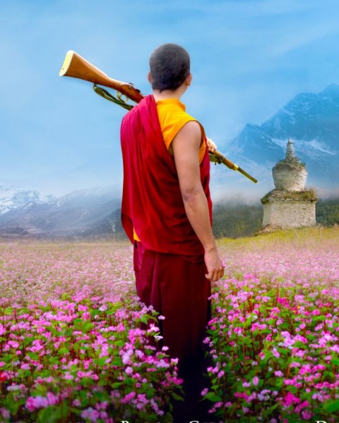 The Monk and the Gun
