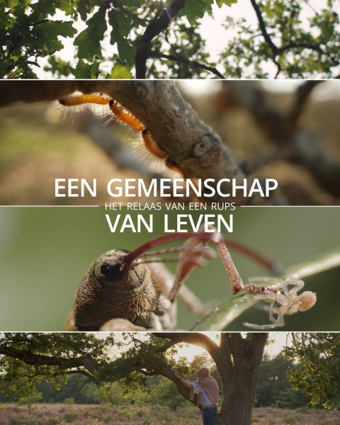 Natuurfilm & nagesprek: Een gemeenschap van leven