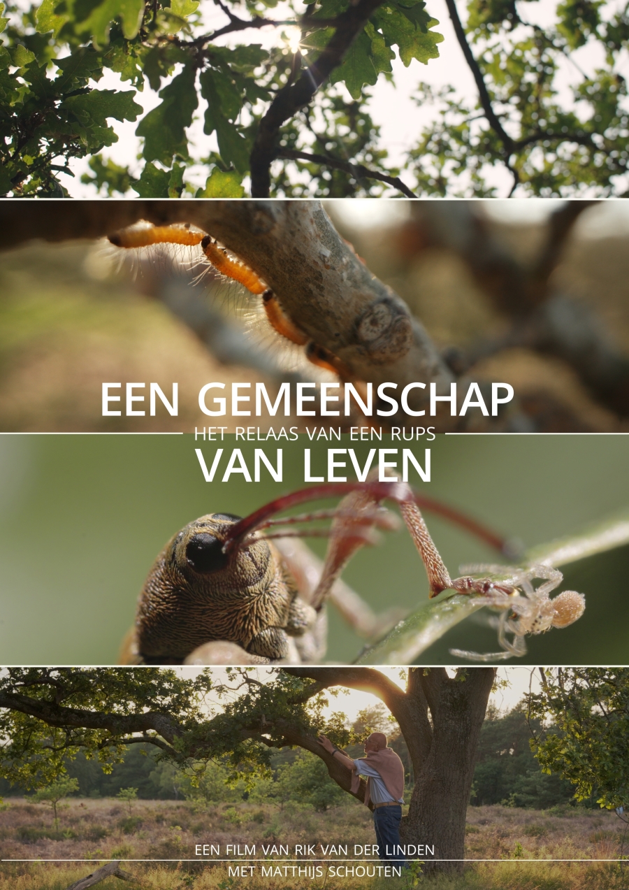 Een gemeenschap van leven